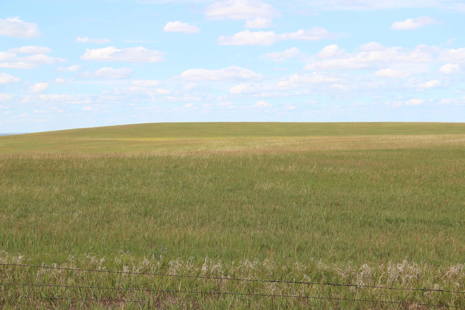 160 +/- Acres Pasture/Hay Land, Lone Star Twp, Tripp Co, SD — Hamill, SD real estate photo thumbnail 9