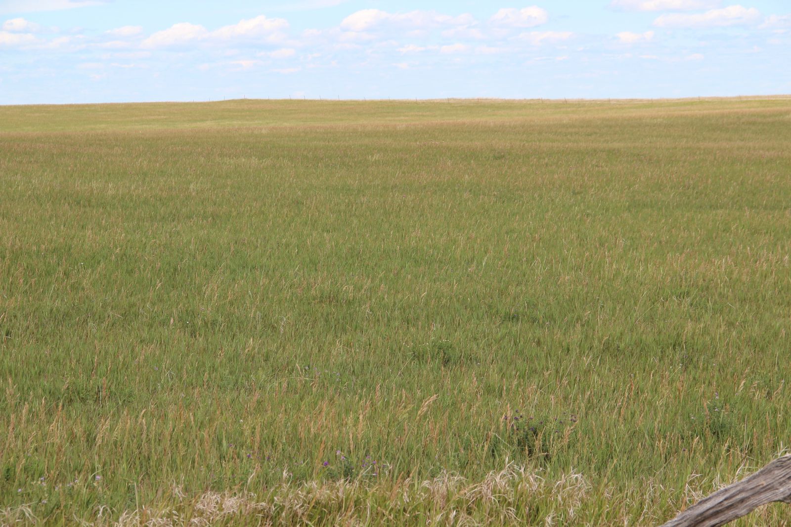 160 +/- Acres Pasture/Hay Land, Lone Star Twp, Tripp Co, SD — Hamill, SD real estate photo thumbnail 11
