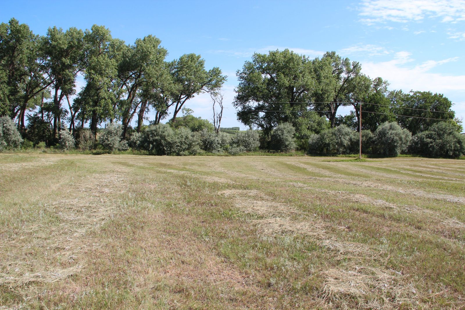 29590 314 Avenue, Winner, SD — Winner, SD real estate photo thumbnail 2