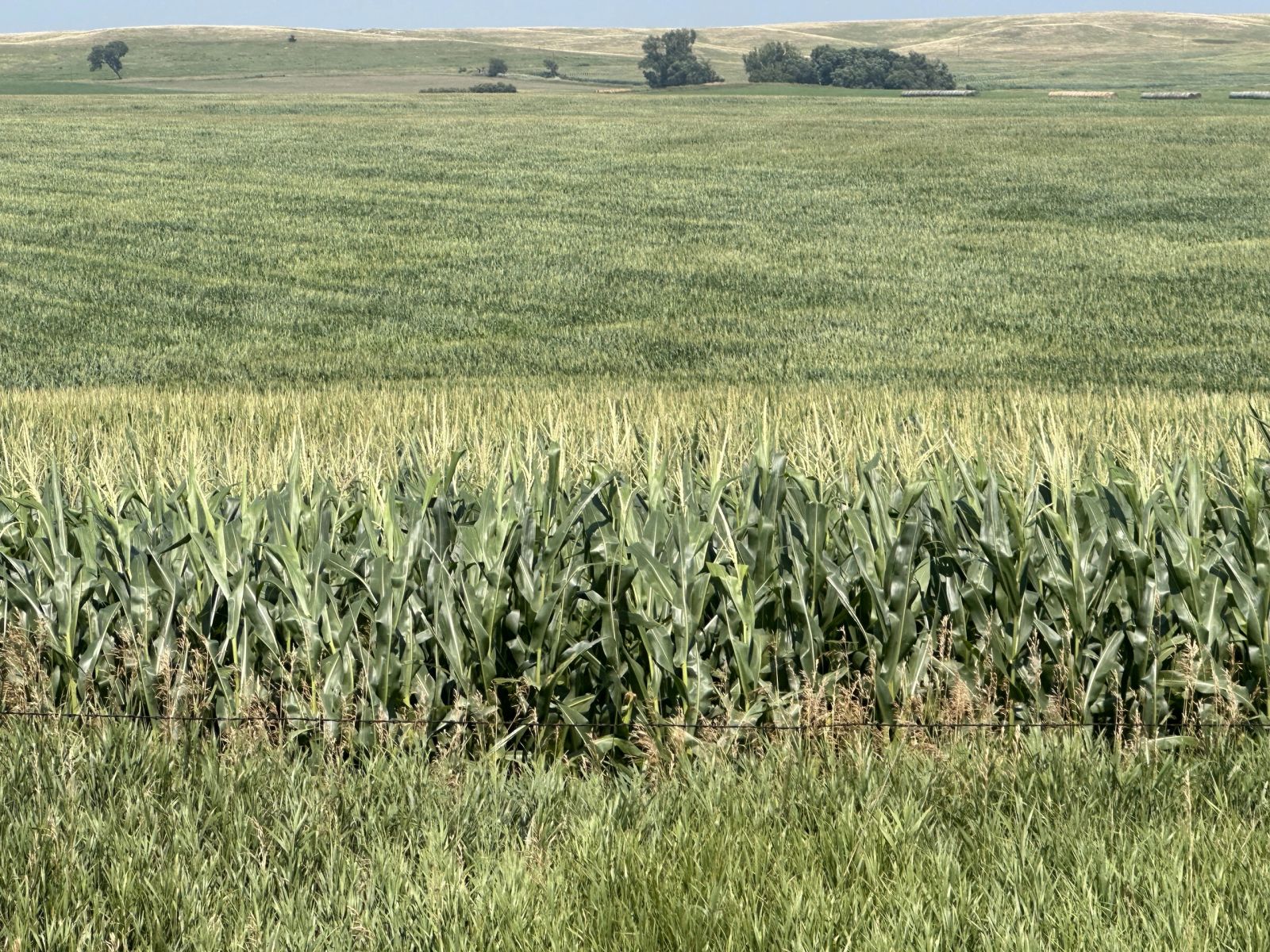 160 +/- Acres Mostly Cropland, Carlock Twp, Gregory Co, SD — Carlock, SD real estate photo thumbnail 4