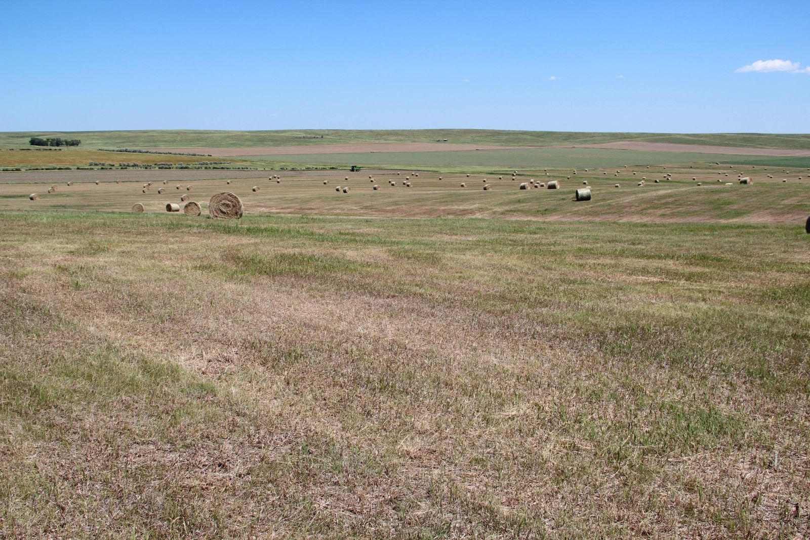 40 +/- Acres Alfalfa Mix, Lyman County, SD — Vivian, SD real estate photo thumbnail 17