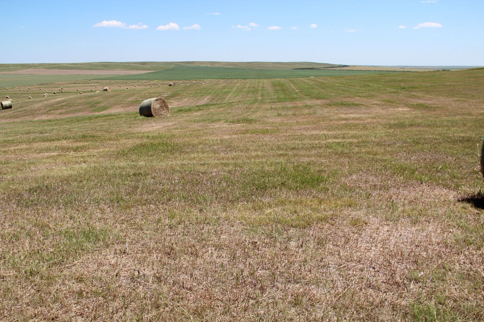 40 +/- Acres Alfalfa Mix, Lyman County, SD — Vivian, SD real estate photo thumbnail 9
