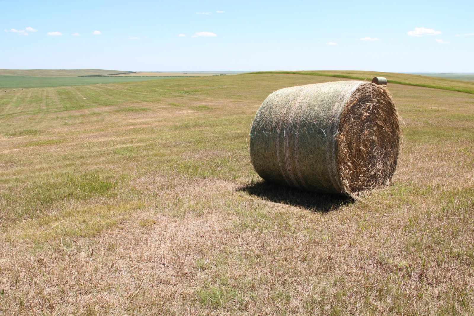 40 +/- Acres Alfalfa Mix, Lyman County, SD — Vivian, SD real estate photo thumbnail 20