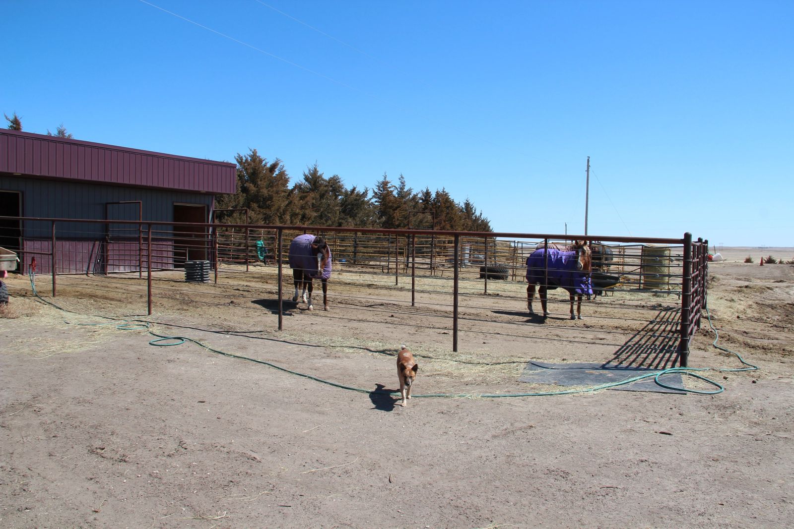 90767 396th Ave, Valentine, NE — Valentine, NE real estate photo thumbnail 39