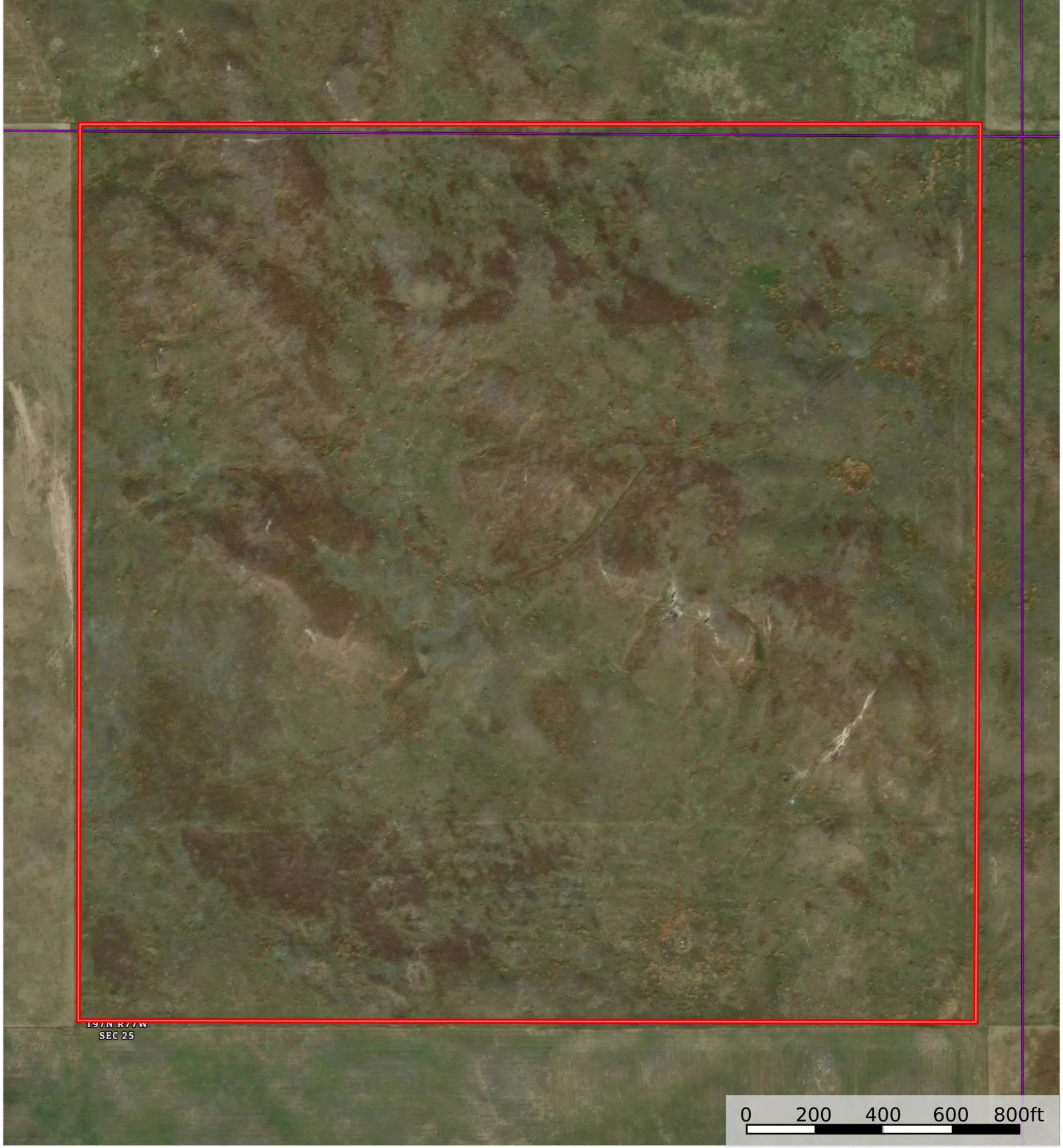 160 +/- Acres Pasture — Dog Ear Twp, Southern Tripp County, SD — Land Auction (Live & Online) in Winner, SD thumbnail 11