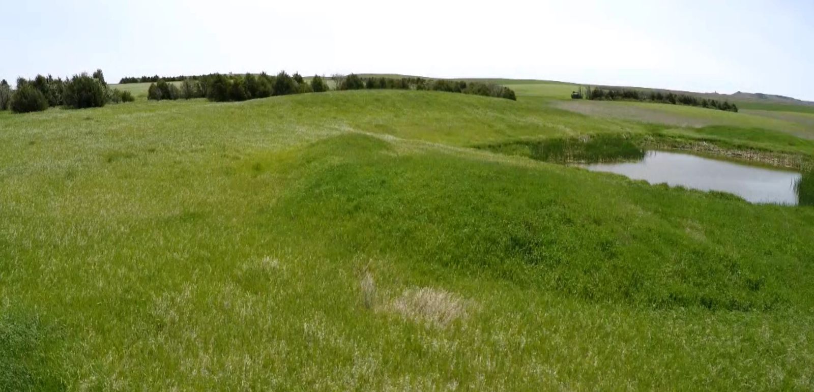 3 Tracts of Land — Tripp County, SD — Land Auction in Winner, SD thumbnail 2