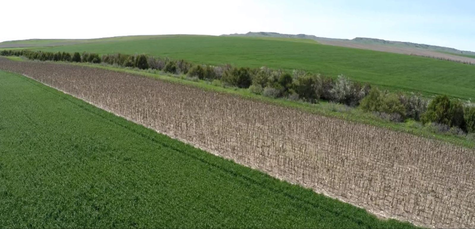 3 Tracts of Land — Tripp County, SD — Land Auction in Winner, SD thumbnail 18