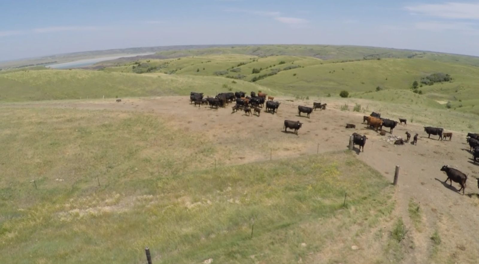 1,769 Acres of Grazing Land, Lyman County, SD — Iona, SD real estate photo thumbnail 8