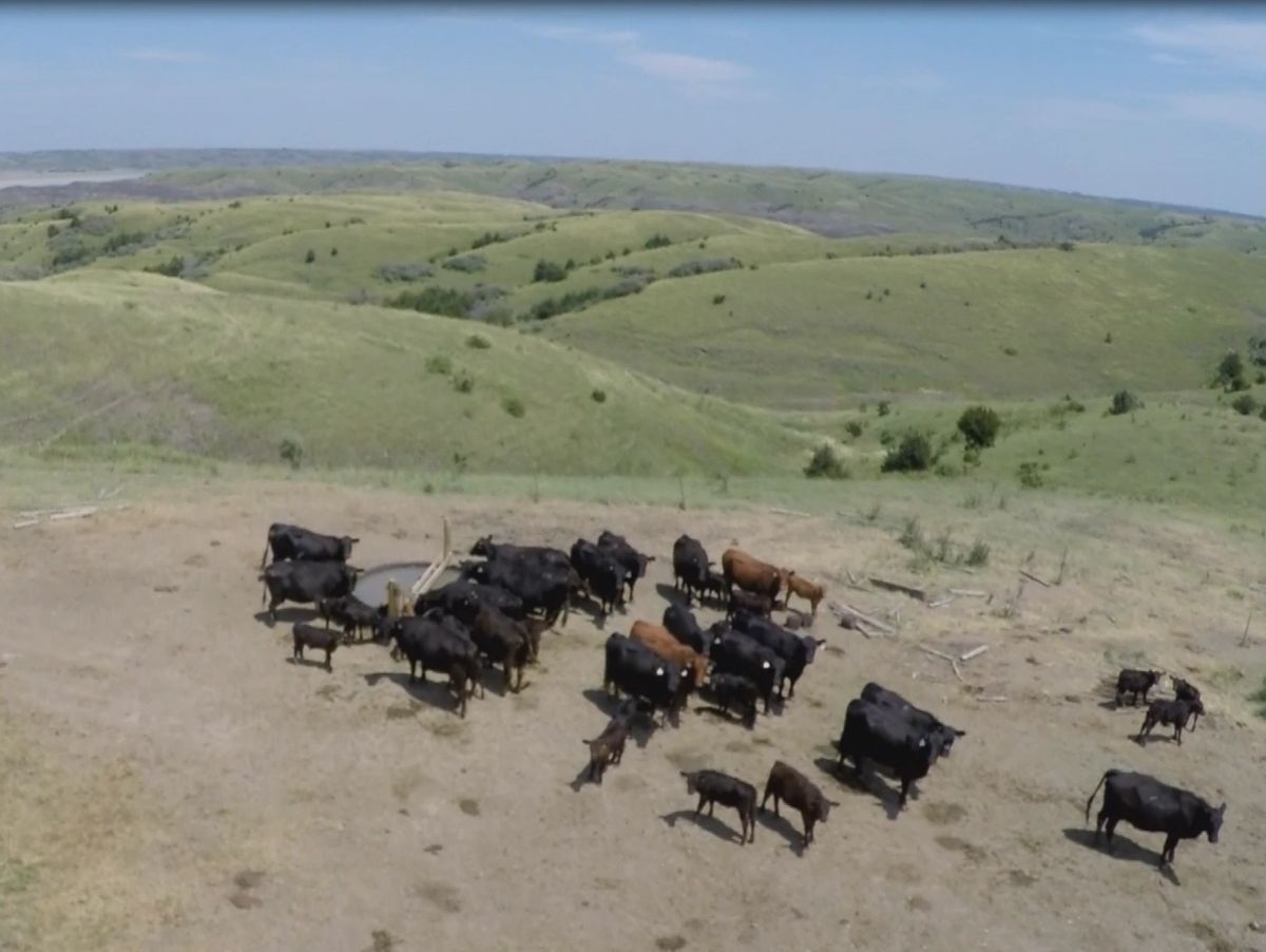 1,769 Acres of Grazing Land, Lyman County, SD