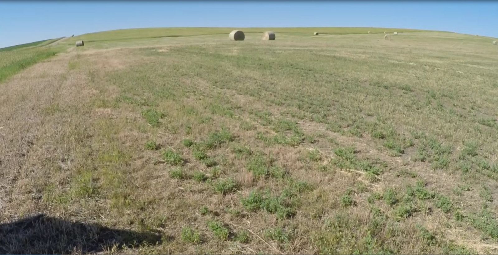 40 +/- Acres Alfalfa Mix, Lyman County, SD — Vivian, SD real estate photo thumbnail 12