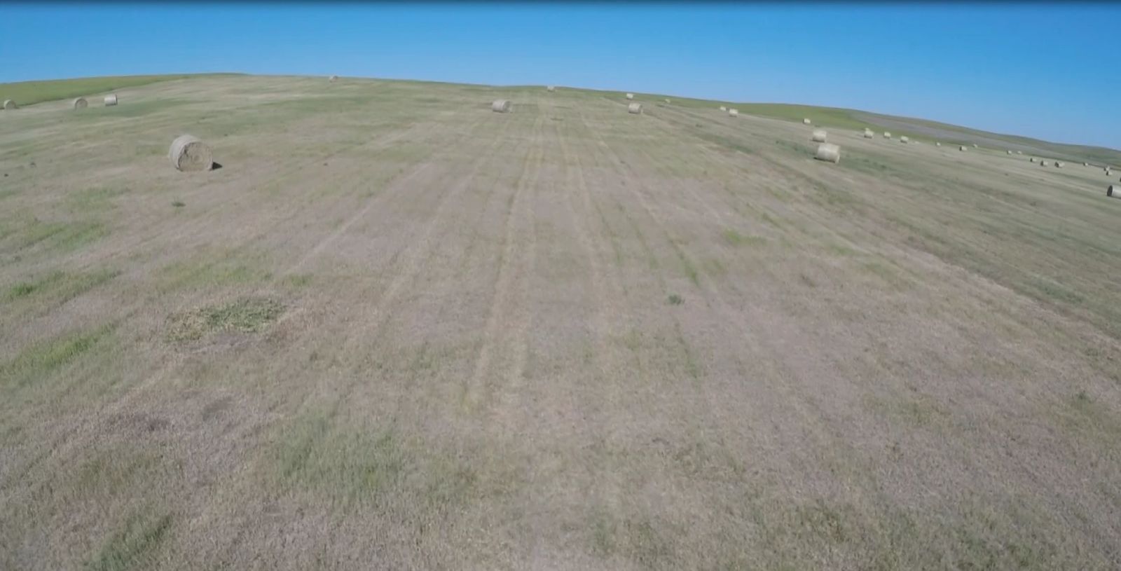 40 +/- Acres Alfalfa Mix, Lyman County, SD — Vivian, SD real estate photo thumbnail 6