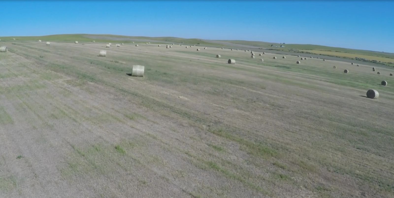 40 +/- Acres Alfalfa Mix, Lyman County, SD — Vivian, SD real estate photo thumbnail 4