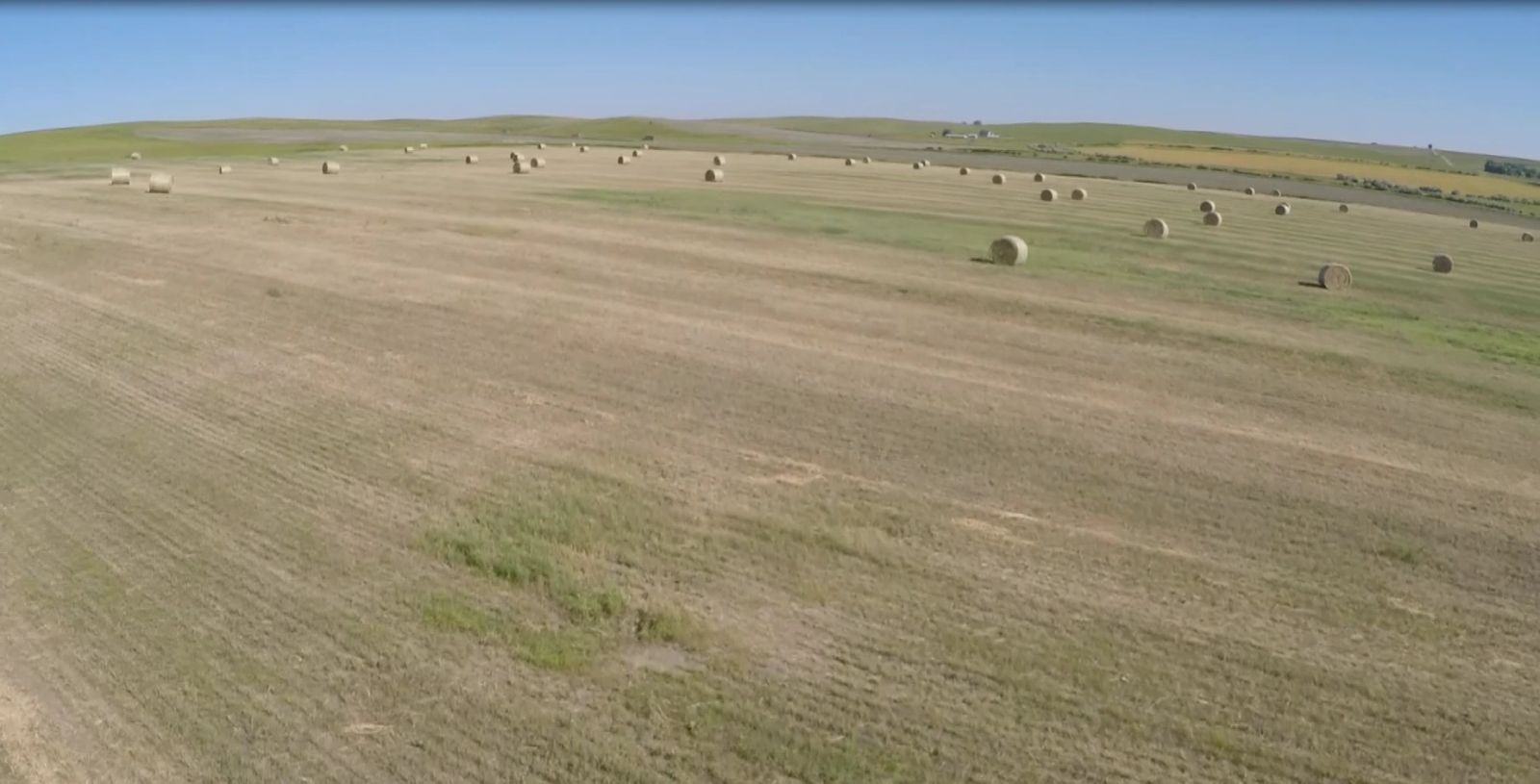 40 +/- Acres Alfalfa Mix, Lyman County, SD — Vivian, SD real estate photo thumbnail 5