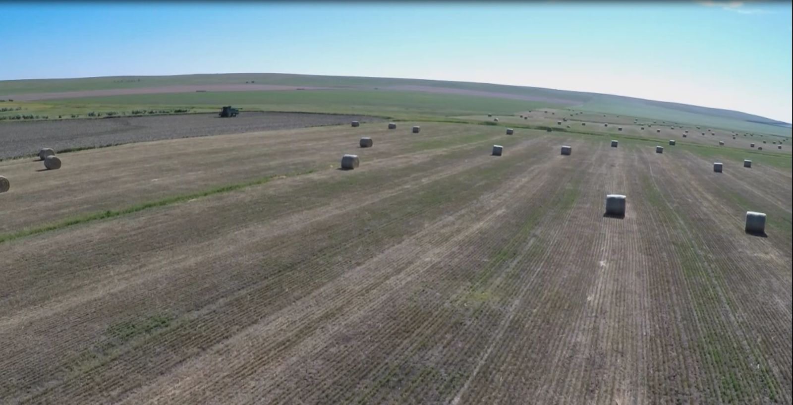 40 +/- Acres Alfalfa Mix, Lyman County, SD — Vivian, SD real estate photo thumbnail 11