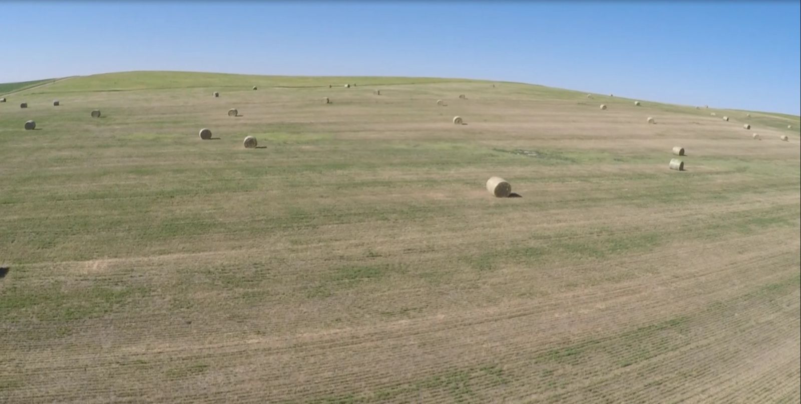 40 +/- Acres Alfalfa Mix, Lyman County, SD — Vivian, SD real estate photo thumbnail 7