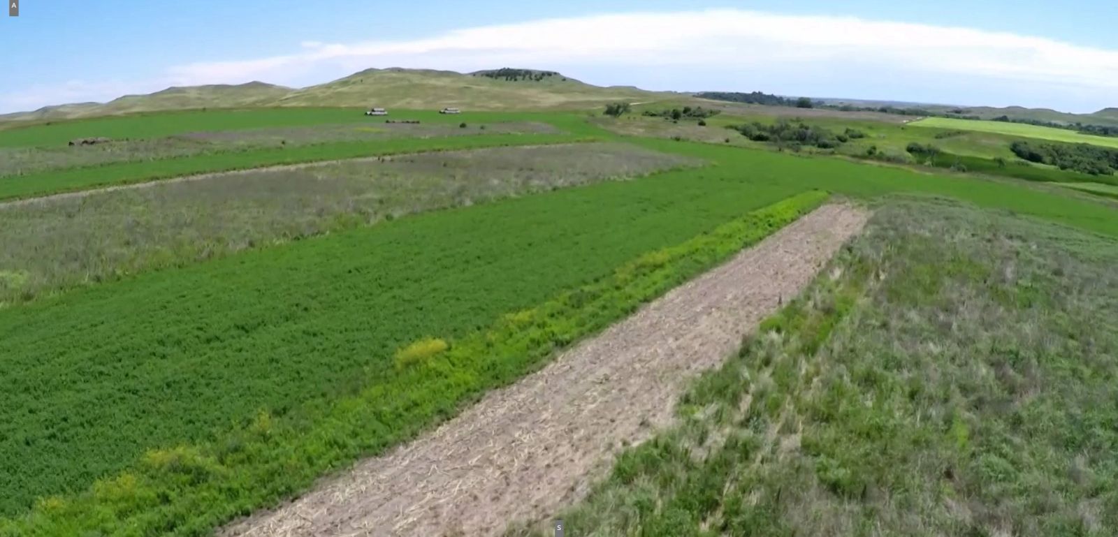 240 +/- Acres Pasture Land, Valley Twp, Tripp Co, SD — Winner, SD real estate photo thumbnail 23