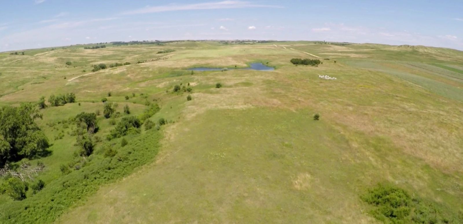 240 +/- Acres Pasture Land, Valley Twp, Tripp Co, SD — Winner, SD real estate photo thumbnail 31