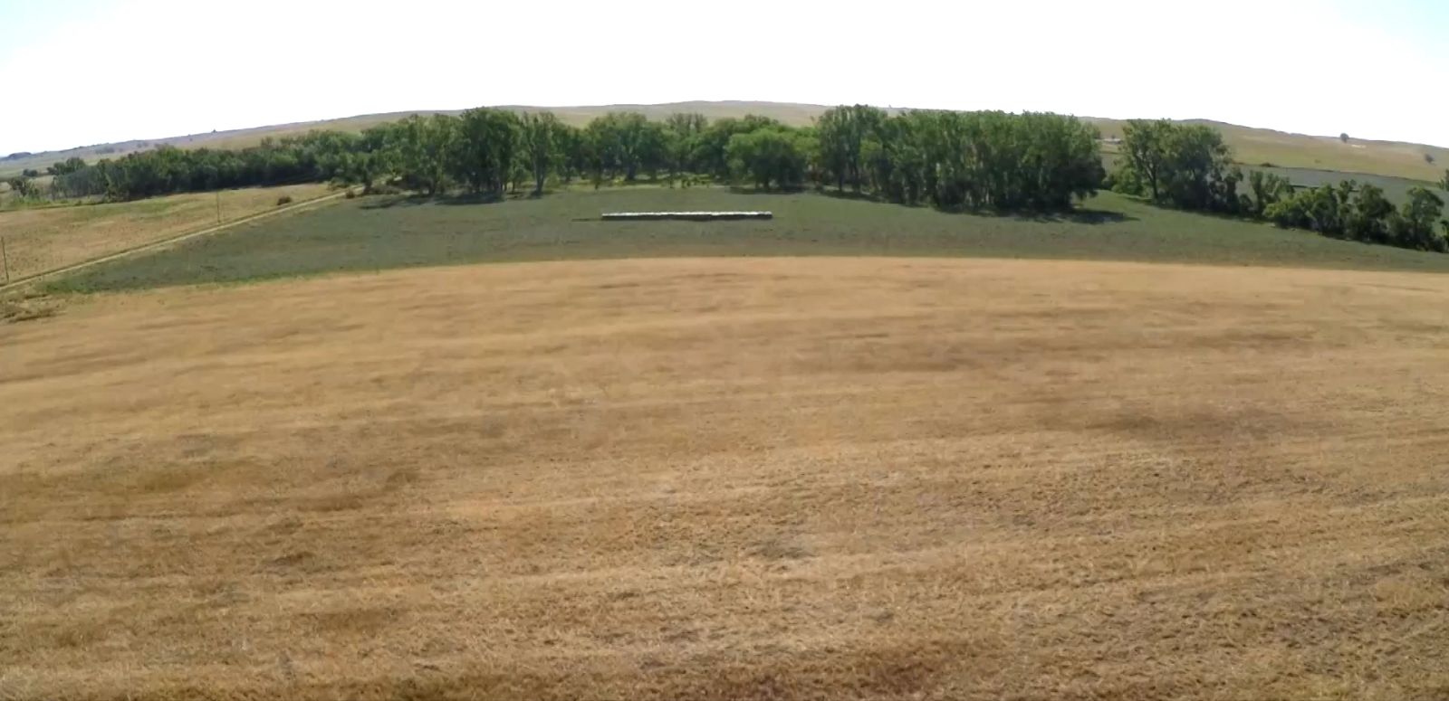 320 +/- Acres — Black Twp, Tripp County, SD — Land Auction in Winner, SD thumbnail 3
