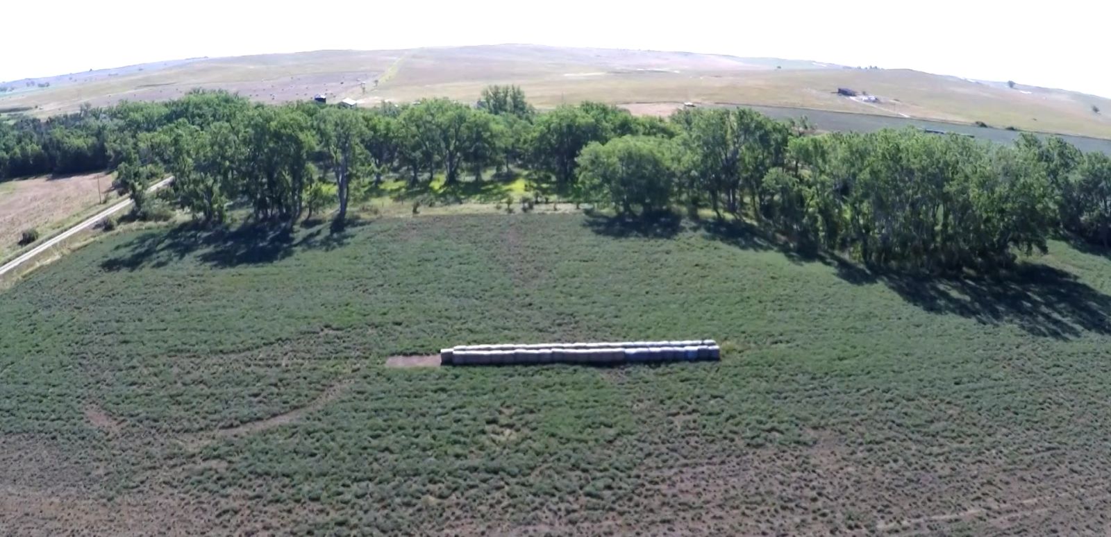 320 +/- Acres — Black Twp, Tripp County, SD — Land Auction in Winner, SD thumbnail 7