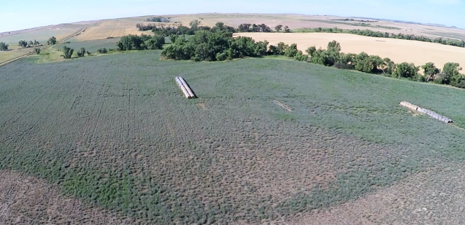 320 +/- Acres — Black Twp, Tripp County, SD — Land Auction in Winner, SD thumbnail 8