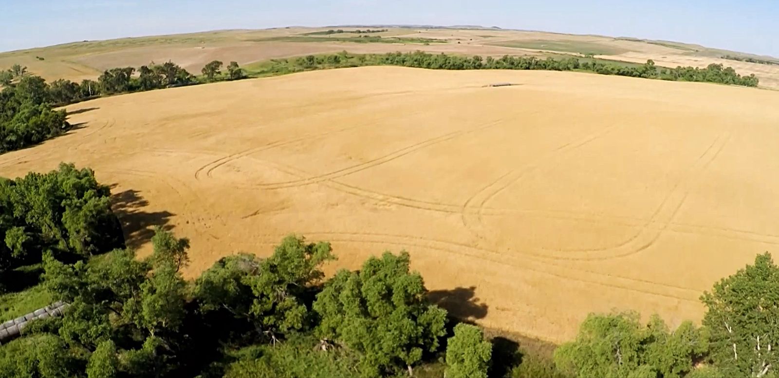 320 +/- Acres — Black Twp, Tripp County, SD — Land Auction in Winner, SD thumbnail 6