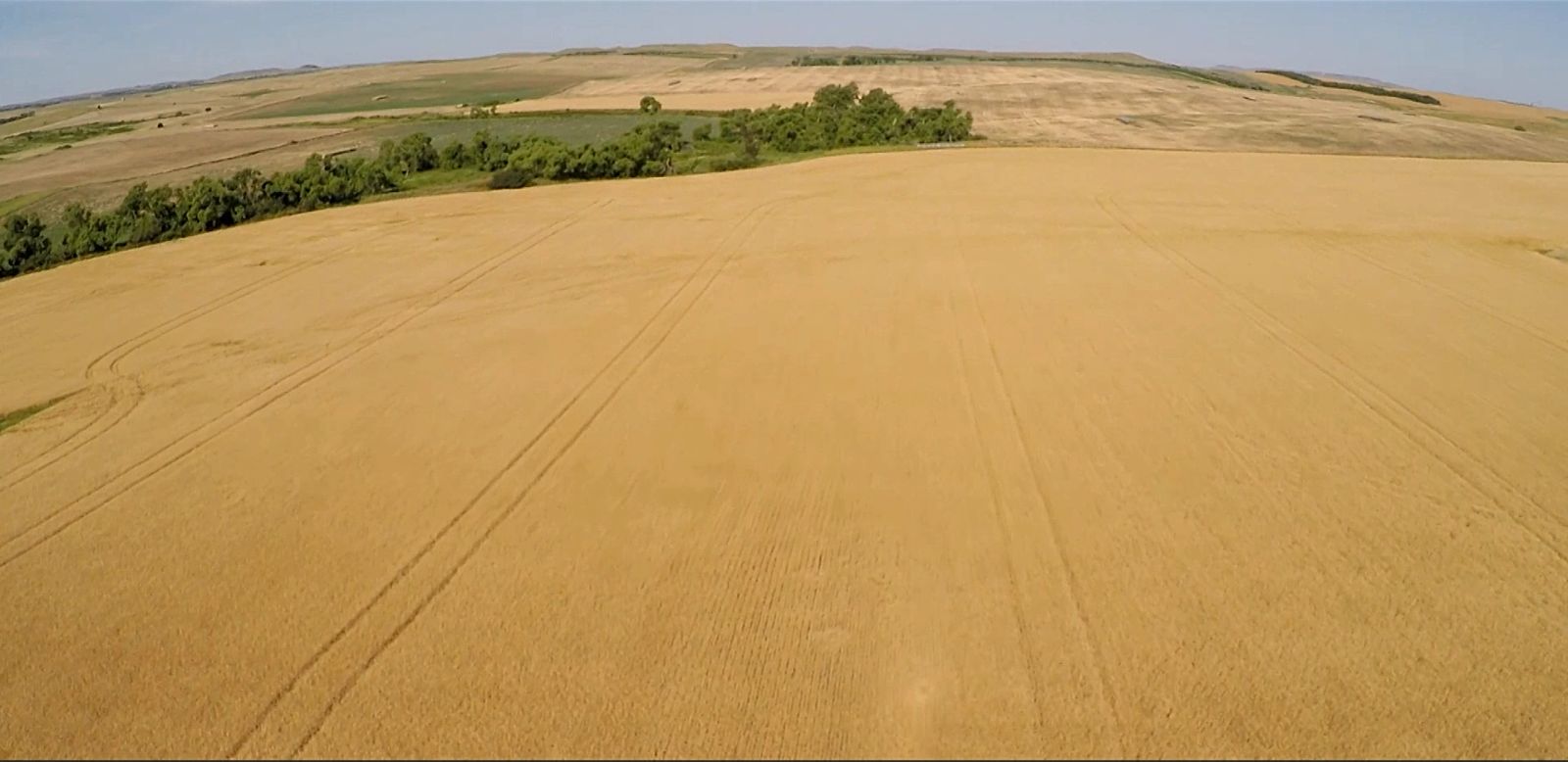 320 +/- Acres — Black Twp, Tripp County, SD — Land Auction in Winner, SD thumbnail 9