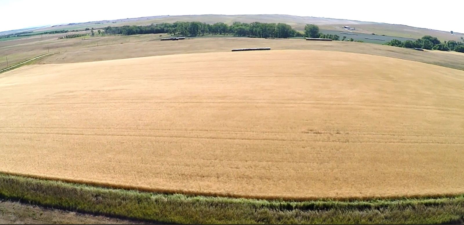320 +/- Acres — Black Twp, Tripp County, SD — Land Auction in Winner, SD thumbnail 5