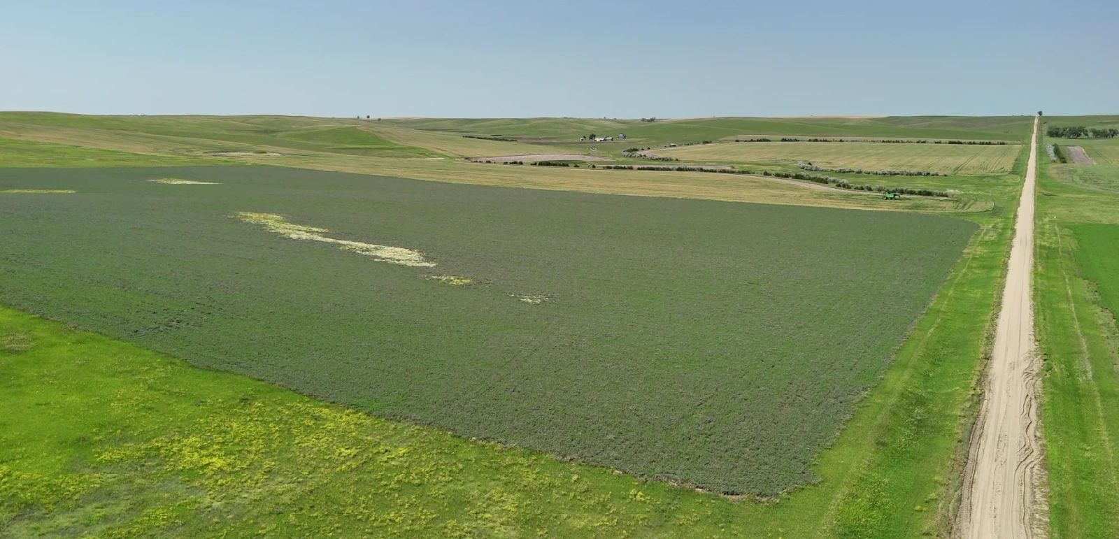 40 +/- Acres Alfalfa Mix, Lyman County, SD — Vivian, SD real estate photo thumbnail 3