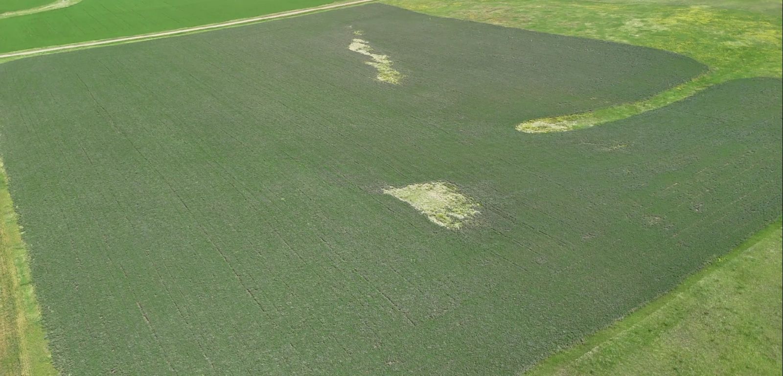 40 +/- Acres Alfalfa Mix, Lyman County, SD — Vivian, SD real estate photo thumbnail 2