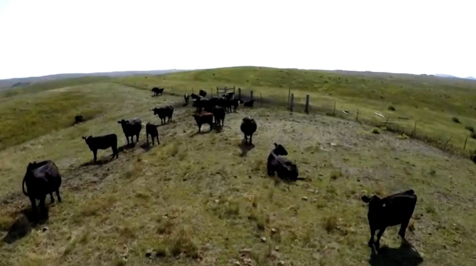 1,769 Acres of Grazing Land, Lyman County, SD — Iona, SD real estate photo thumbnail 17