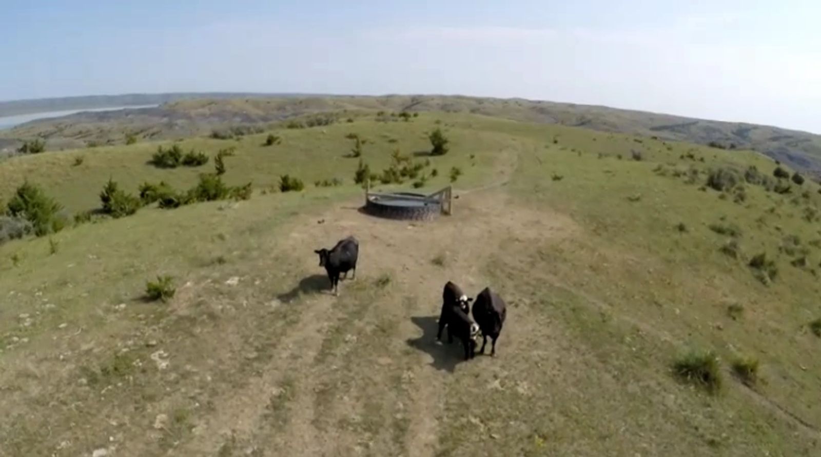 1,769 Acres of Grazing Land, Lyman County, SD — Iona, SD real estate photo thumbnail 3