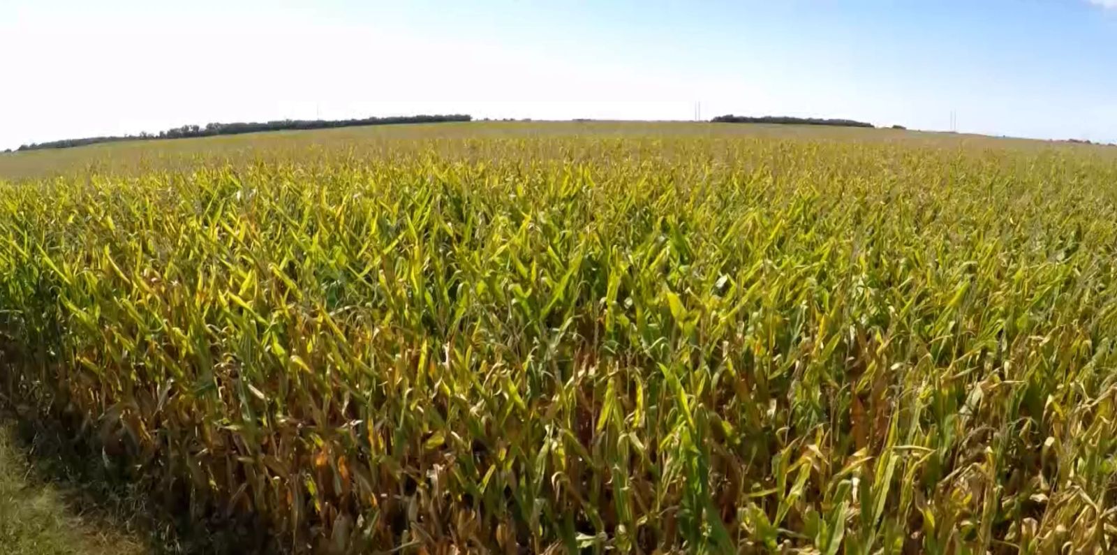 153 +/- Acres Irrigated Crop Land, Rock County, NE — Bassett, NE real estate photo thumbnail 4