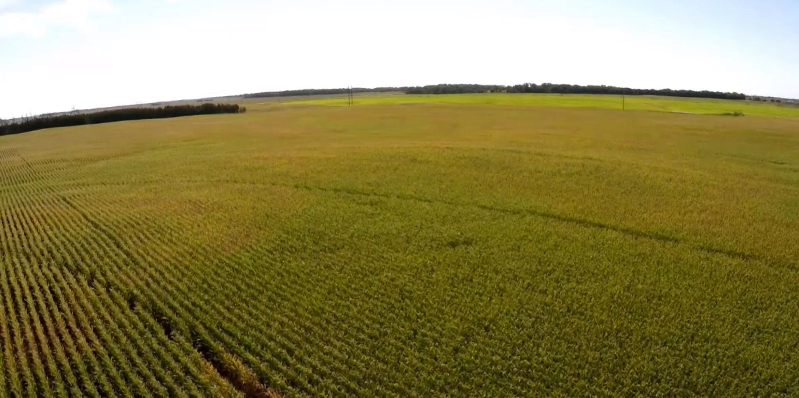 153 +/- Acres Irrigated Crop Land, Rock County, NE — Bassett, NE real estate photo thumbnail 6