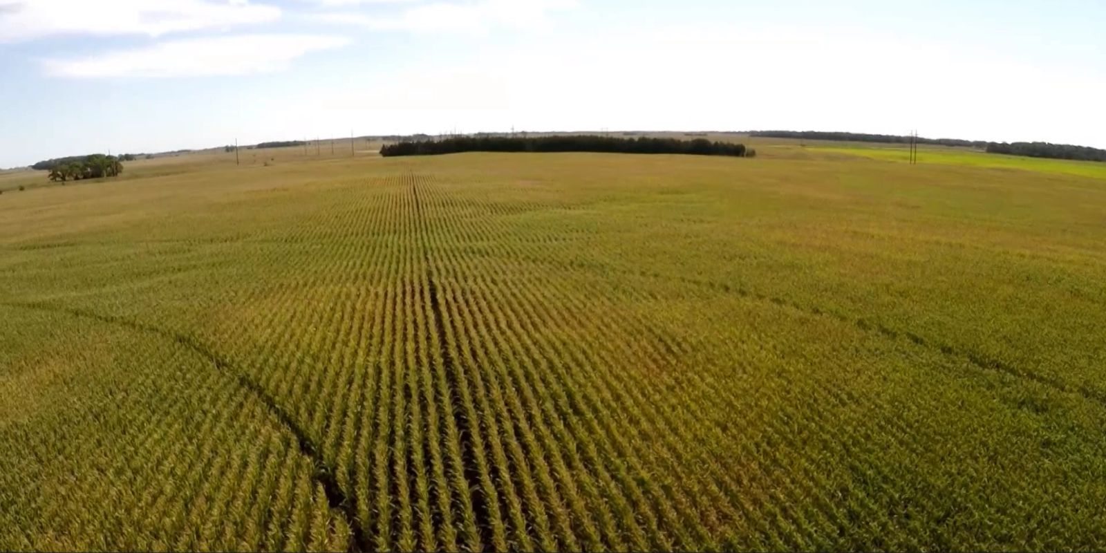 153 +/- Acres Irrigated Crop Land, Rock County, NE — Bassett, NE real estate photo thumbnail 5