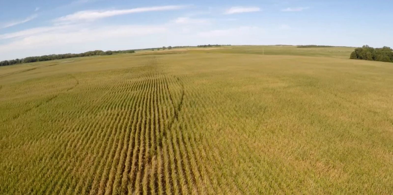 153 +/- Acres Irrigated Crop Land, Rock County, NE — Bassett, NE real estate photo thumbnail 2