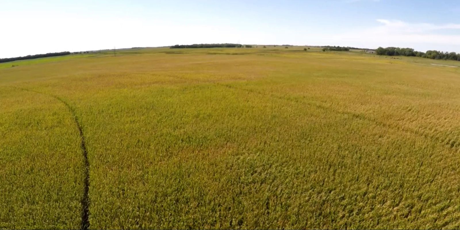 153 +/- Acres Irrigated Crop Land, Rock County, NE — Bassett, NE real estate photo thumbnail 3
