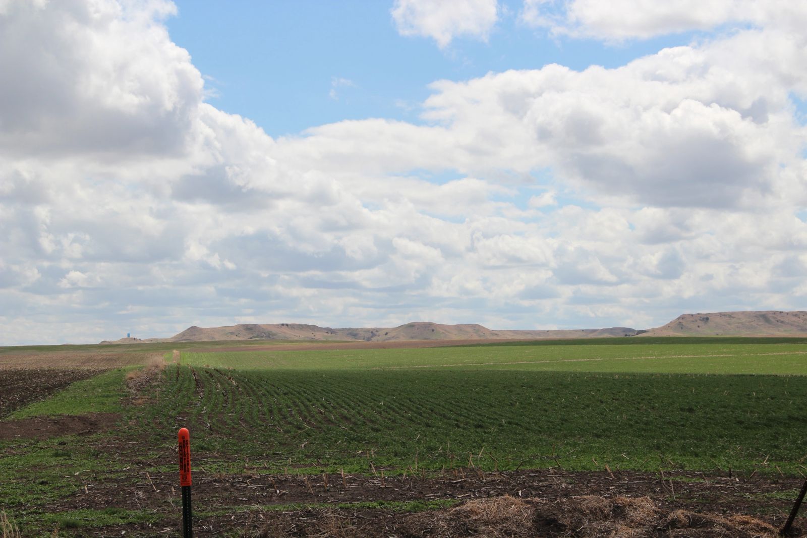 3 Tracts of Land — Tripp County, SD — Land Auction in Winner, SD thumbnail 13