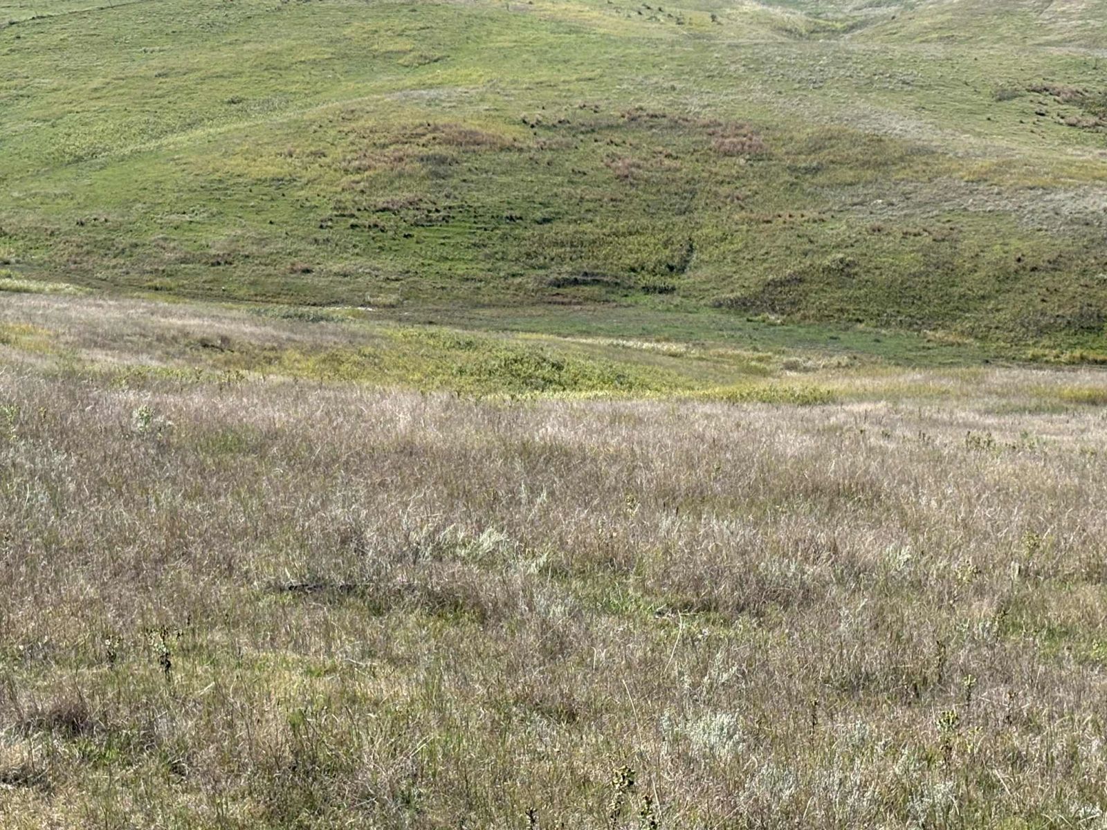 31 (+/-) Acres, Greenwood Twp, Tripp County, SD — Winner, SD real estate photo thumbnail 4