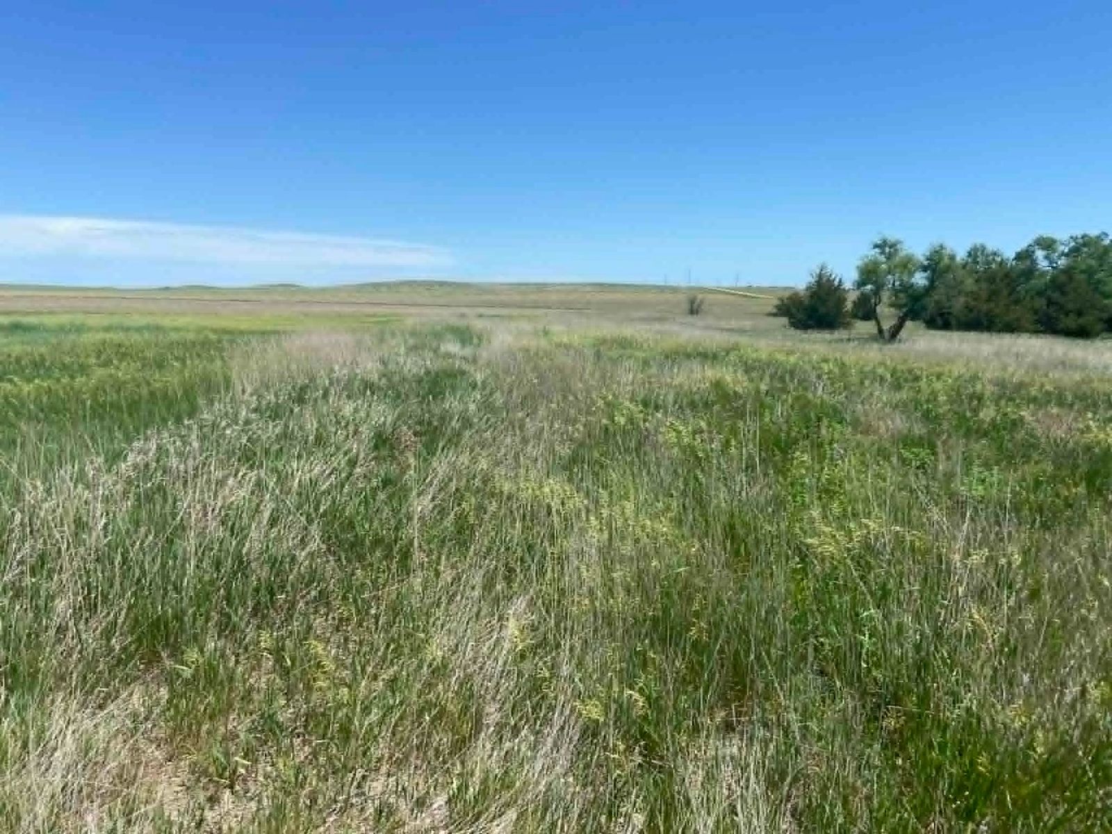 24 (+/-) Acres of Rural Residential Land, Vivian, SD — Vivian, SD real estate photo thumbnail 14