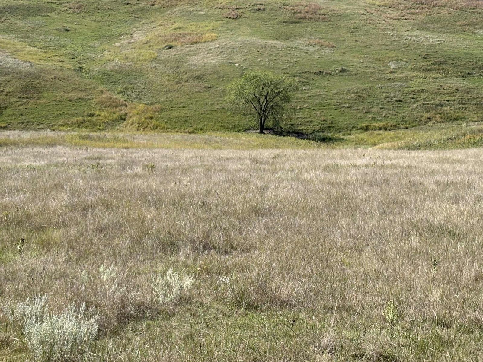 31 (+/-) Acres, Greenwood Twp, Tripp County, SD — Winner, SD real estate photo thumbnail 16
