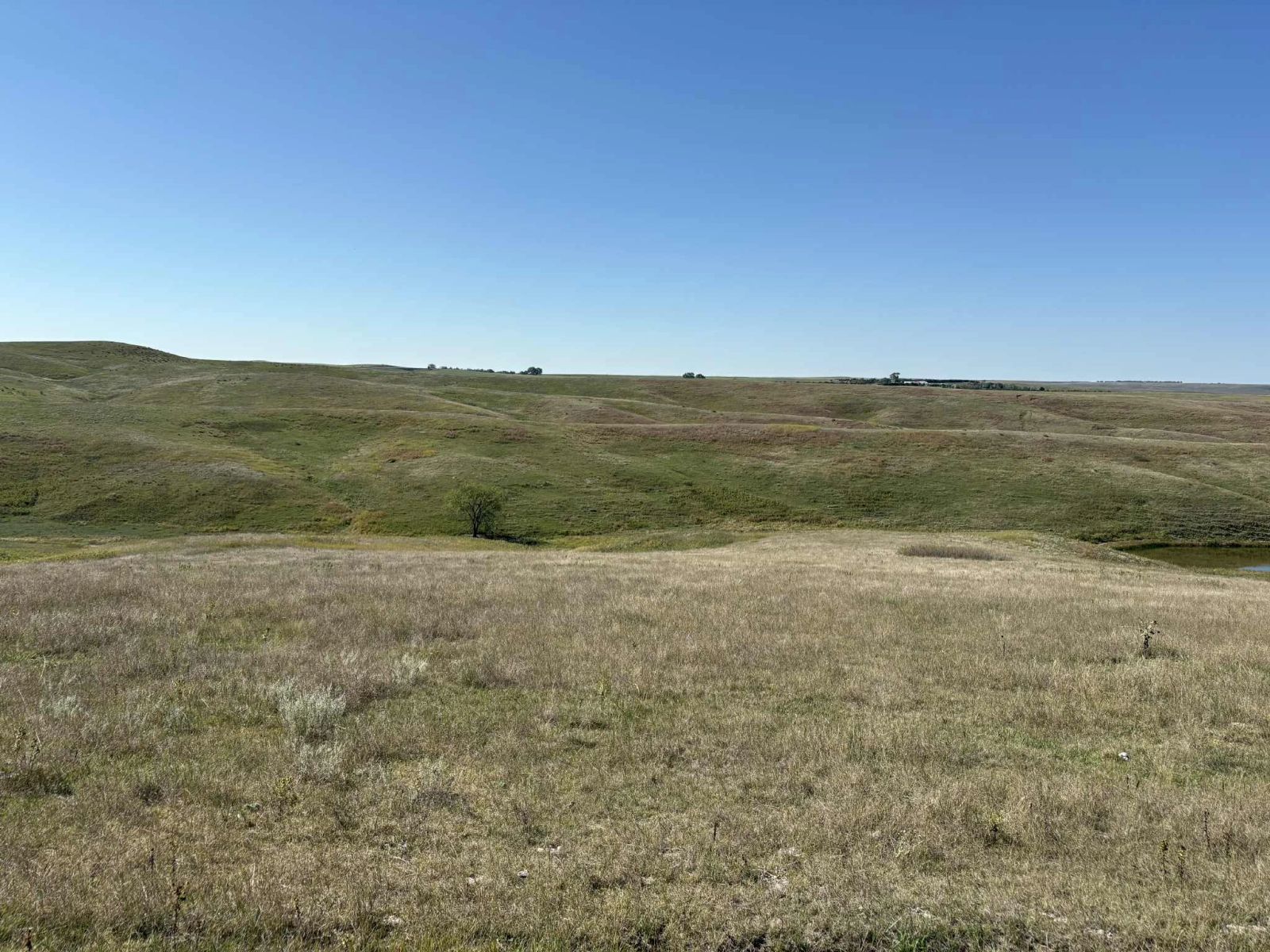 31 (+/-) Acres, Greenwood Twp, Tripp County, SD — Winner, SD real estate photo thumbnail 14