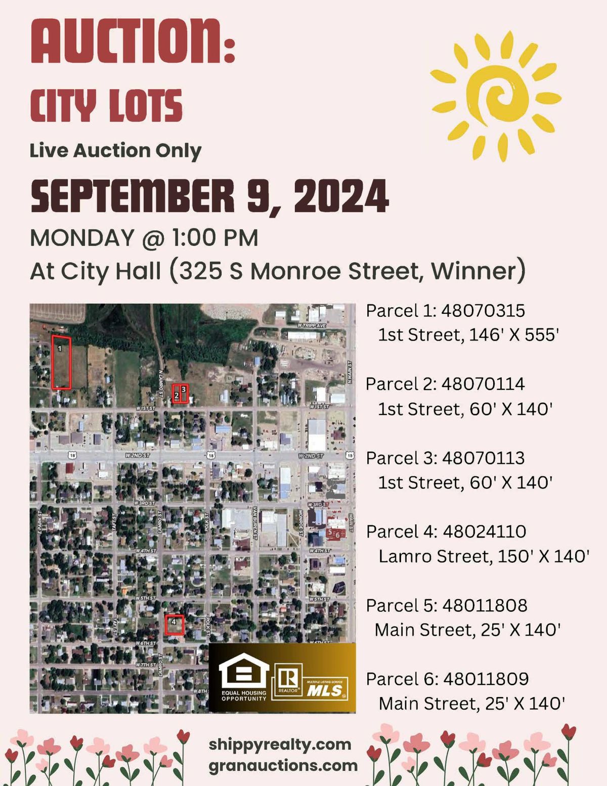 City Lots Auction — 6 City-Owned Lots, Winner, SD