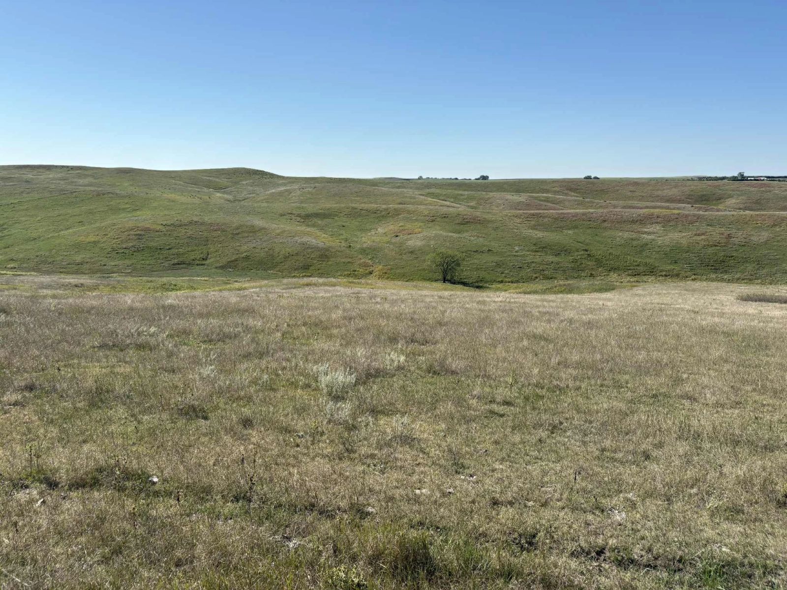 31 (+/-) Acres, Greenwood Twp, Tripp County, SD — Winner, SD real estate photo thumbnail 5