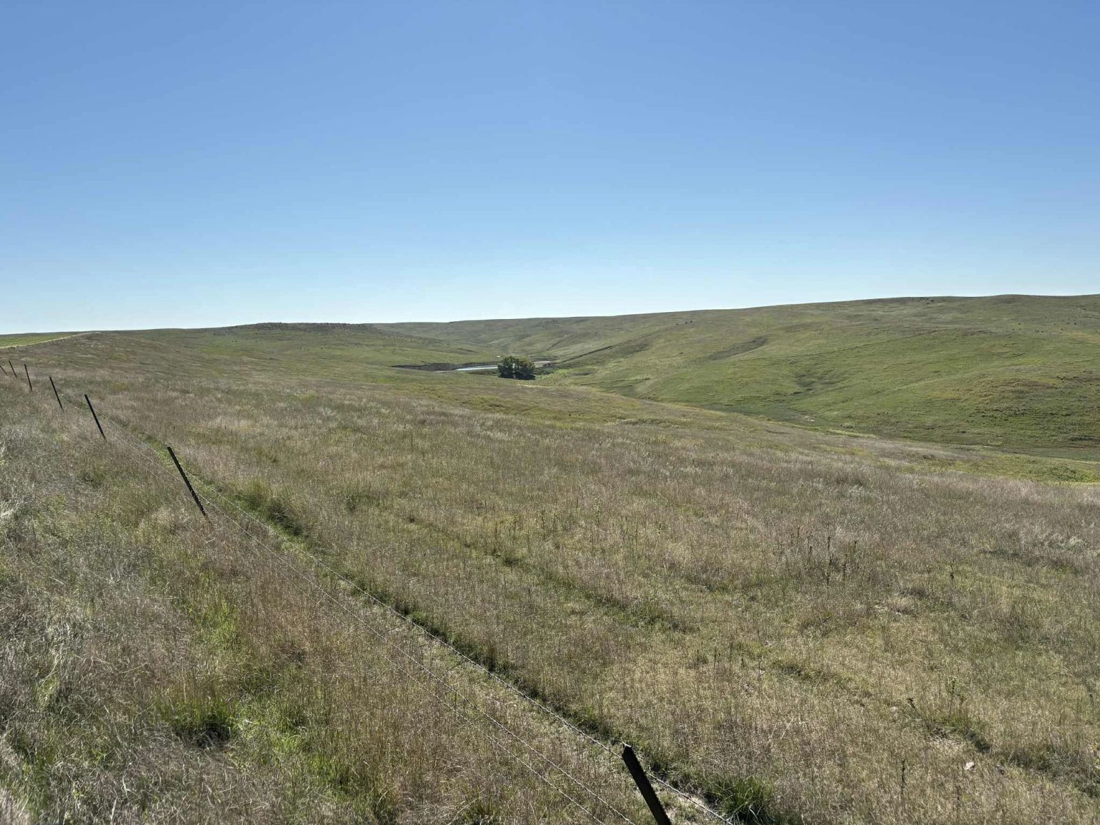 31 (+/-) Acres, Greenwood Twp, Tripp County, SD — Winner, SD real estate photo thumbnail 11