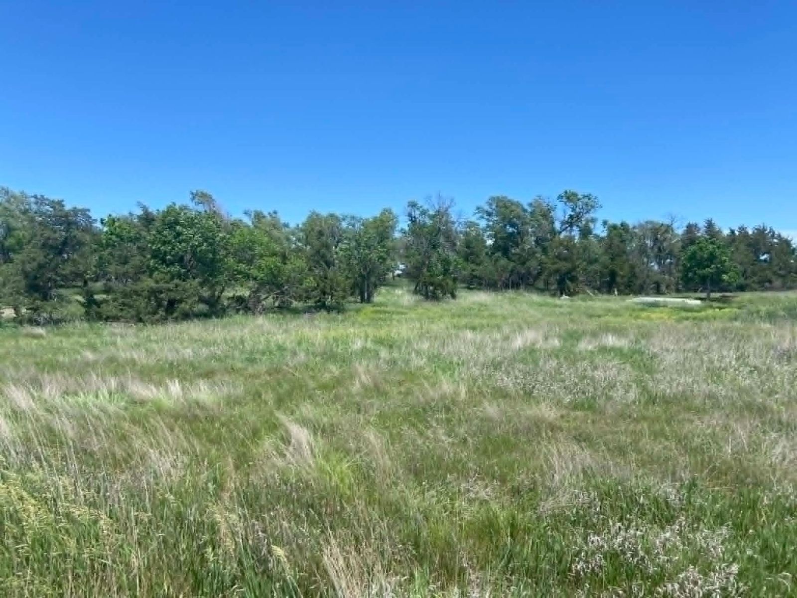 24 (+/-) Acres of Rural Residential Land, Vivian, SD — Vivian, SD real estate photo thumbnail 10