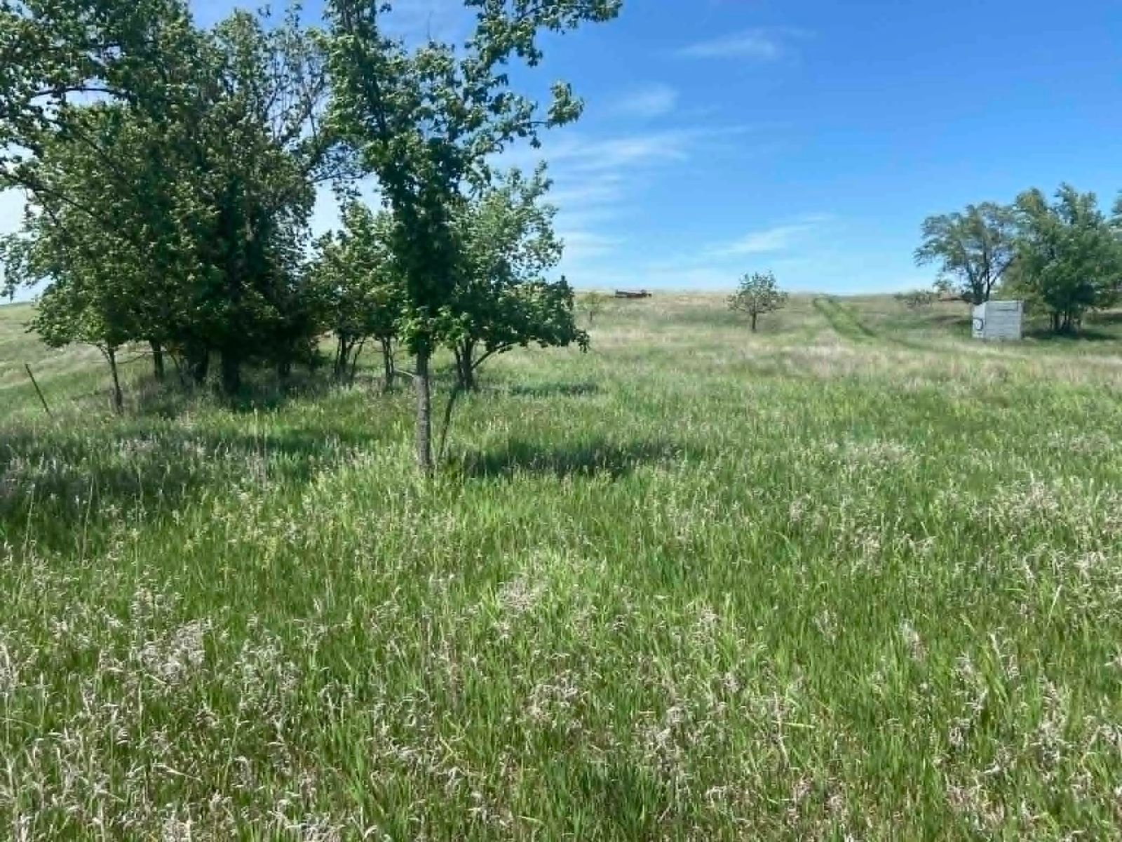 24 (+/-) Acres of Rural Residential Land, Vivian, SD — Vivian, SD real estate photo thumbnail 4