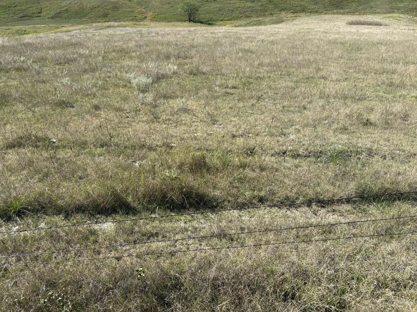 31 (+/-) Acres, Greenwood Twp, Tripp County, SD — Winner, SD real estate photo thumbnail 9