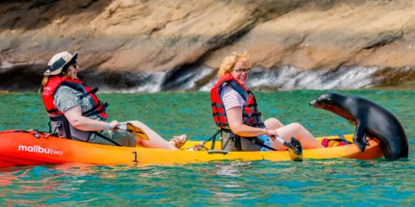 Two people in a kayak with a sea lion nearby.