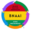 BNAAI