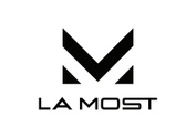 LAMOST